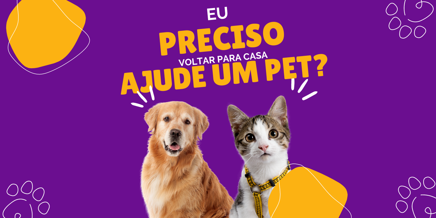 Imagem do nosso sistema